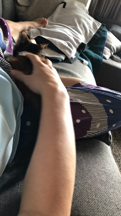 どかない…の記事動画