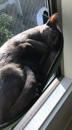 神様との約束の記事動画