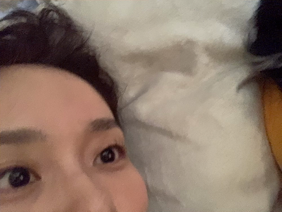 Merry Christmasと告知の記事動画