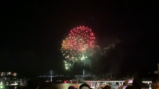 大きな華のある花火。151の記事動画