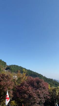 ◤母校・秦野市立北小学校 学校林100周年記念植樹へ♪◢の記事動画