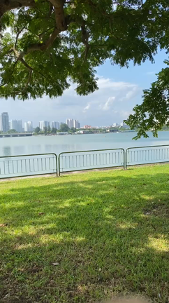 CALM DOWNの記事動画