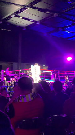 勅使河原弘晶さんのプロフィールページ