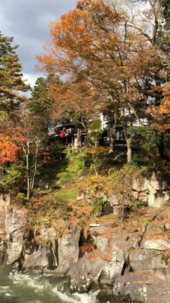 ヨガx血流ワークショップ in 盛岡・岩手の記事動画