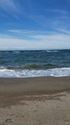 2022川下海浜公園キャンプ２泊３日の家族キャンプの記事動画