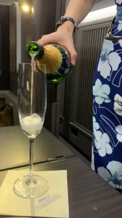 ファーストクラスの旅①の記事動画