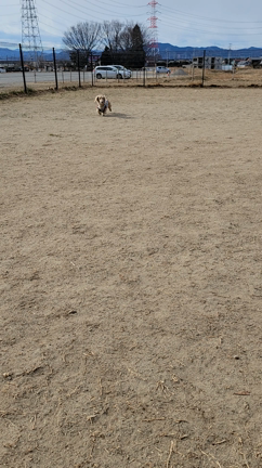 言葉には気をつけようと思った日の記事動画