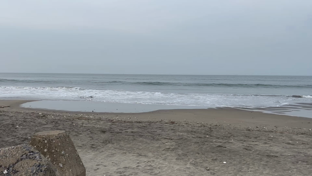 2023/7/3バースデー&ナマズ釣り&最近の料理の記事動画