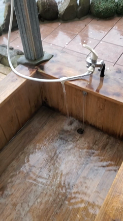 花見の記事動画