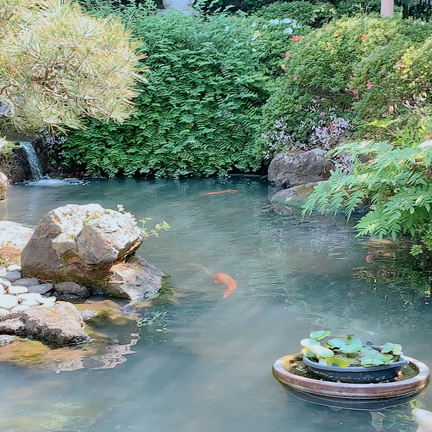 パワースポットに行ってきました☆の記事動画