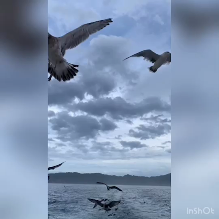 2019、夏。家族旅行・2の記事動画