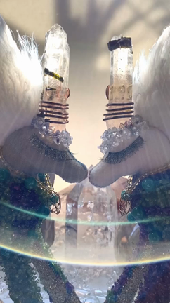 ✨時間の法則を欺いて✨の記事動画