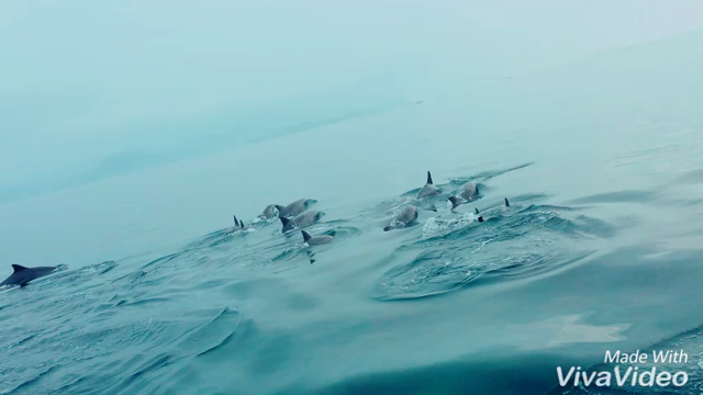 天草旅行☆！の記事動画