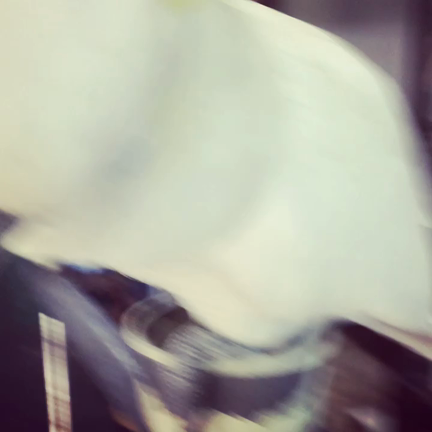 学校終わりに鳥を見に行った！の記事動画