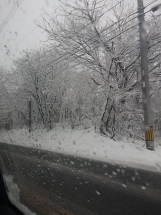 軽井沢⭐の記事動画