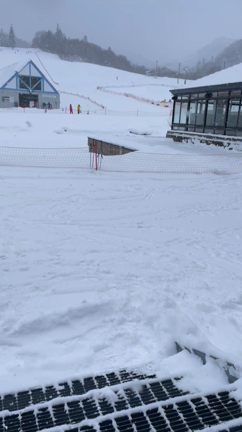 謹賀新年の記事動画