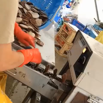 しびれるぅの記事動画