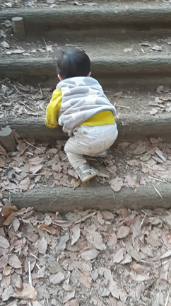 子どもが自分で育む感覚！かかわり方にもポイントがある◎の記事動画