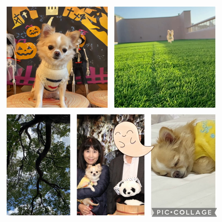 リセット　その２の記事動画