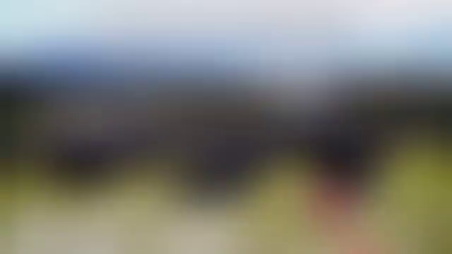 ピースライド2016   ②の記事動画