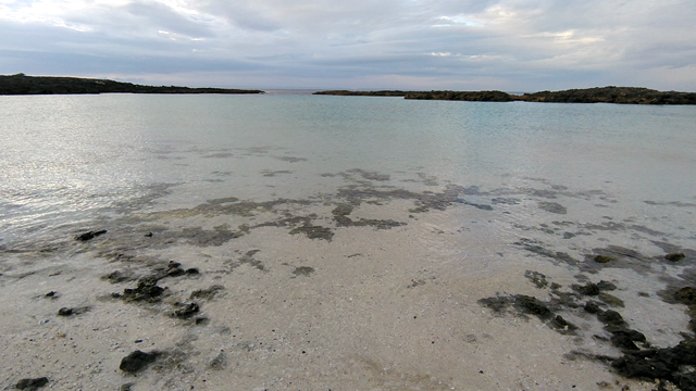 珊瑚の島の記事動画