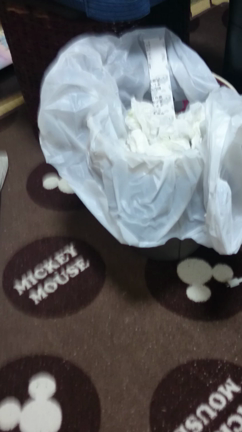 ☆ちゅん、飛ぶ☆の記事動画