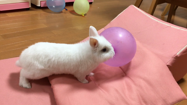 ブログ更新【おまけ映像】の記事動画