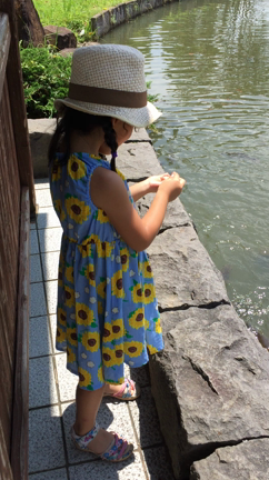 いい天気の記事動画