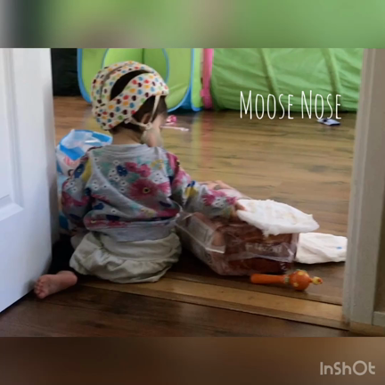 運送屋の娘の記事動画