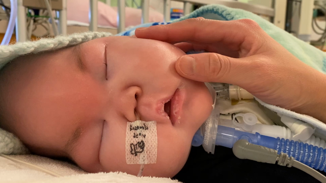 4.9  術後落ち着いています(*^^*)の記事動画