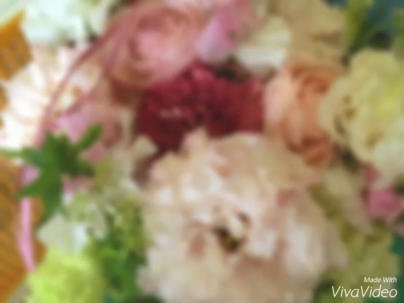 こころ喜ぶ癒し広場in横浜の記事動画