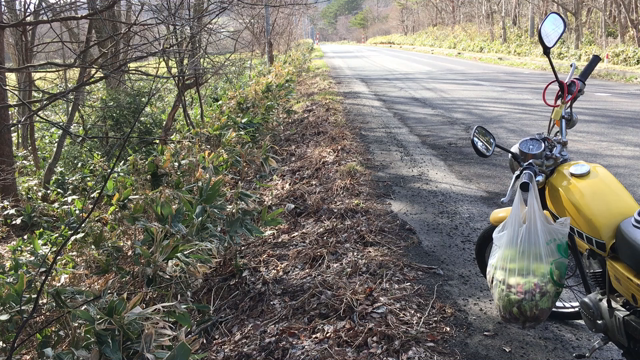 蔵王周辺ゆっくり・・・の記事動画