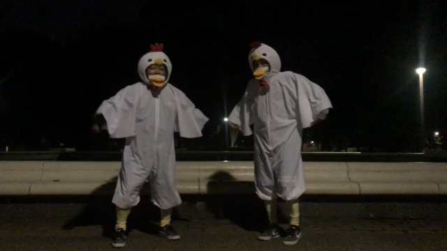 2017やりまっせ〜！の記事動画