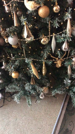 朝7時からの記事動画