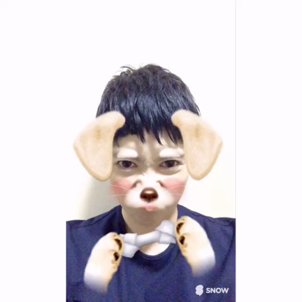 タジトーーク！動画アプリの記事動画