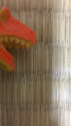 ほんまにただの日常②の記事動画