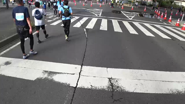 水戸のフルマラソンレポ③ラストの記事動画