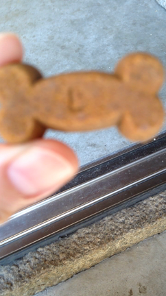 三回目の秋の記事動画