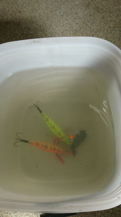 2/27 強風で出船中止の記事動画