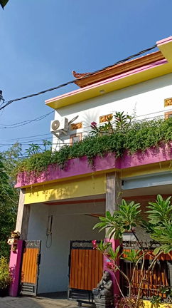 どいちゃんホームの記事動画