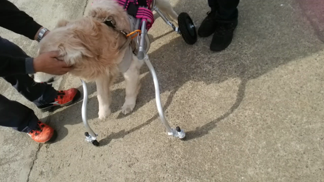 ジェイくんにとってHAPPYな出来事♪の記事動画