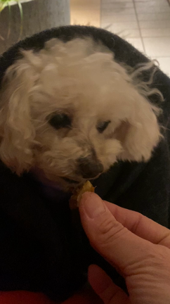 うんに良い運♥️㊗️♥️の記事動画