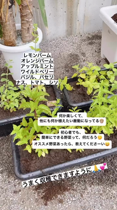 理想の私♡自信をもつ方法の記事動画