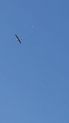 空高く飛びたいなぁ鳥のように！の記事動画