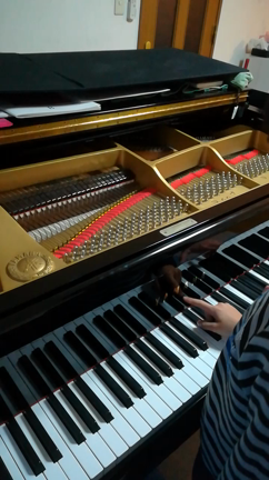 ピアノの中って魅力的！　千曲市ピアノ教室の記事動画