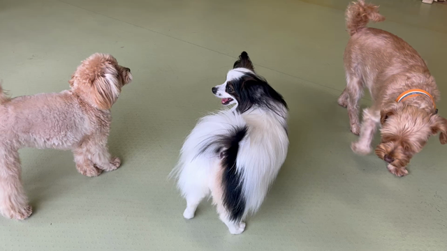 9月23日(金)♪♪の記事動画