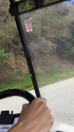 Catalina Island カタリナ島日帰り旅行の記事動画