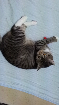 近況報告の記事動画