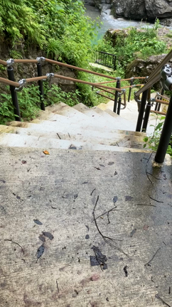 涼しさを、どうぞの記事動画