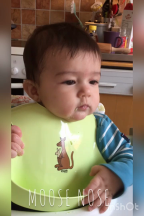 サム、5歳になるの記事動画